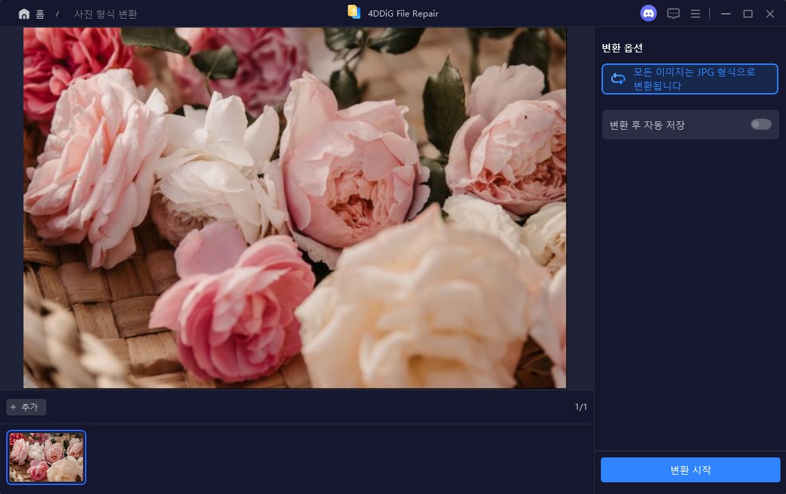 Start Converting All Images to Jpg