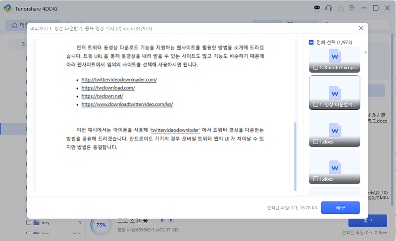 4DDiG Data Recovery로 데이터 미리보기