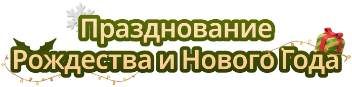 Christmas & New Year Celebration