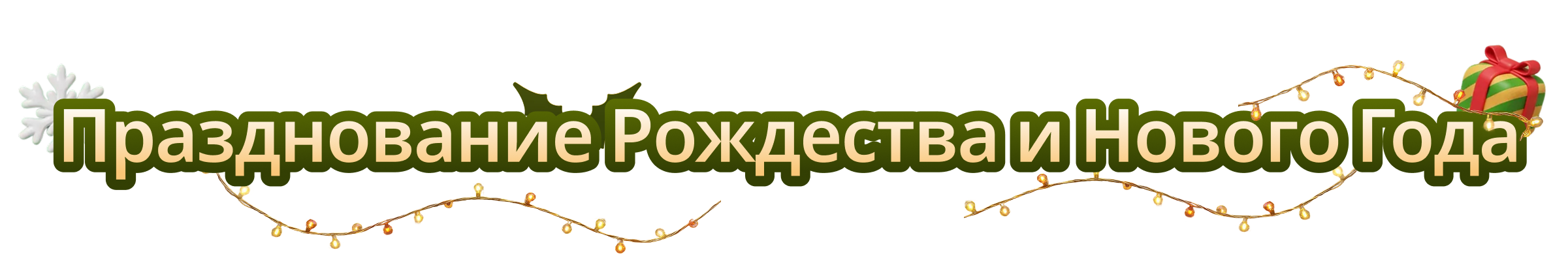 Christmas & New Year Celebration