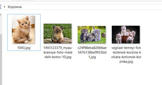 Не отображаются изображения в папке windows 10