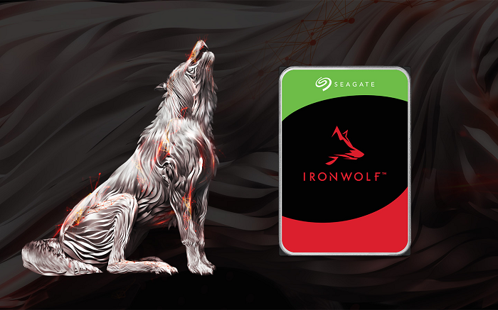 жесткий диск Seagate IronWolf для NAS