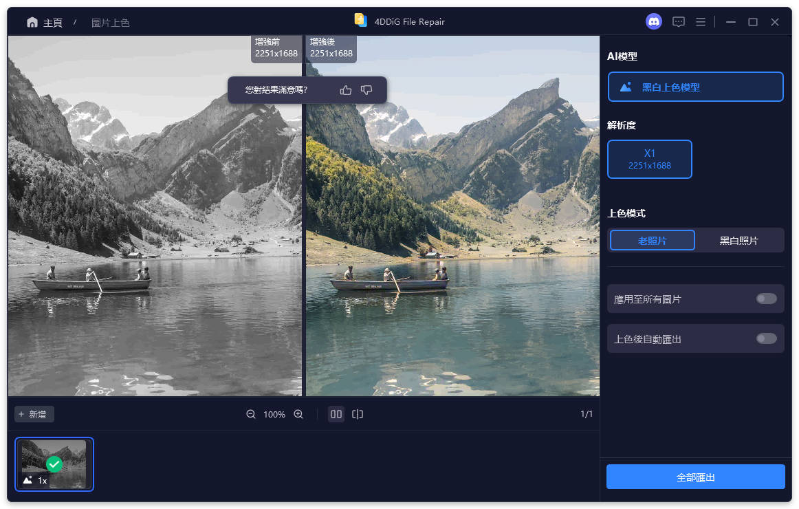 preview and save colorized photos