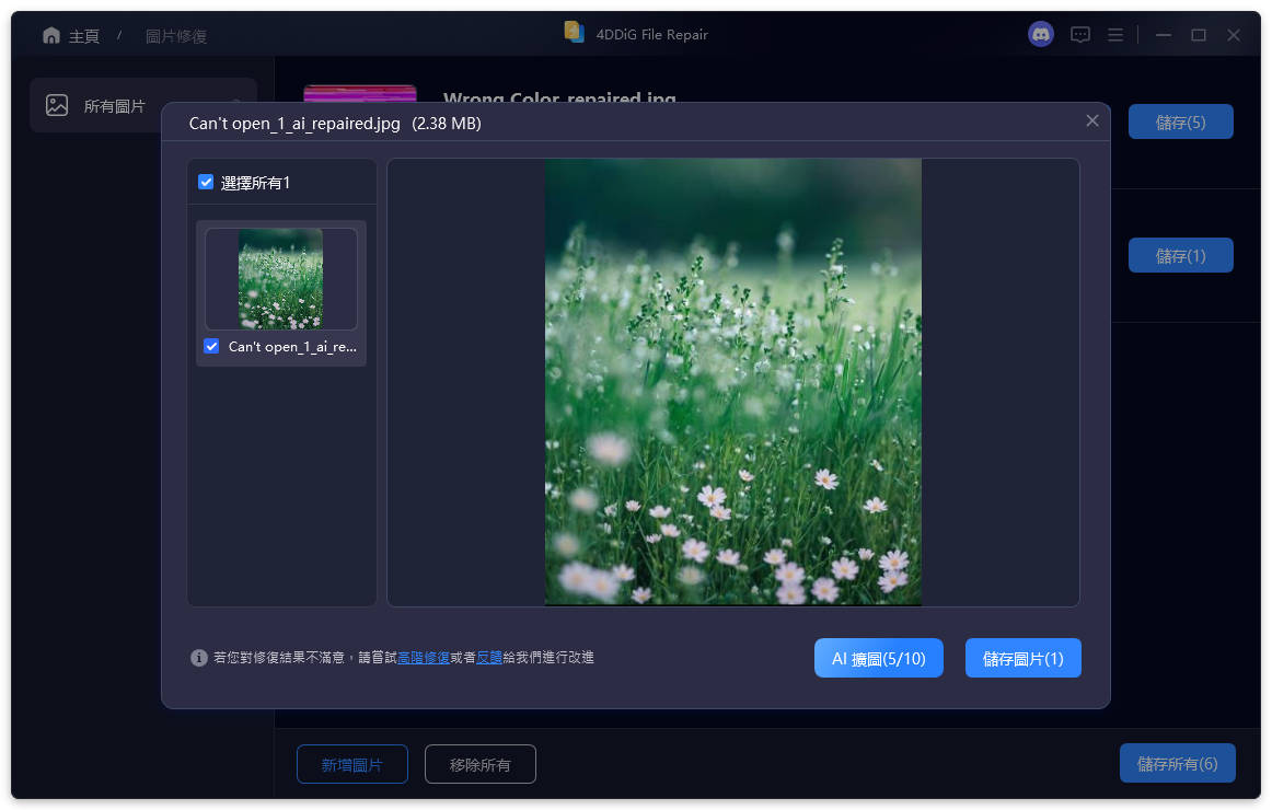 preview repaired photos