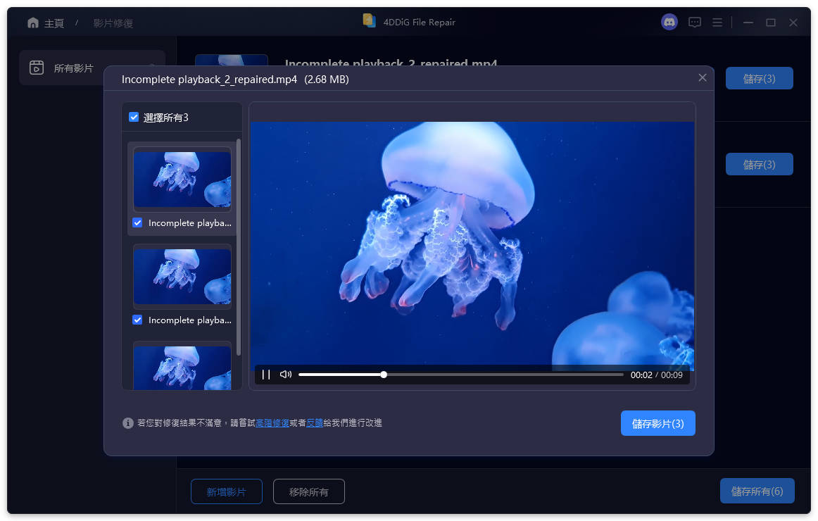 4DDiG影片預覽與儲存步驟