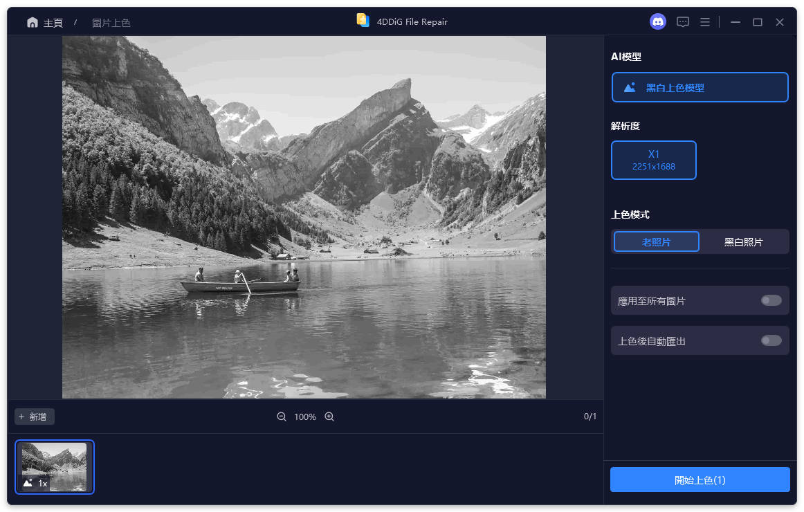 select ai model for colorizing photos