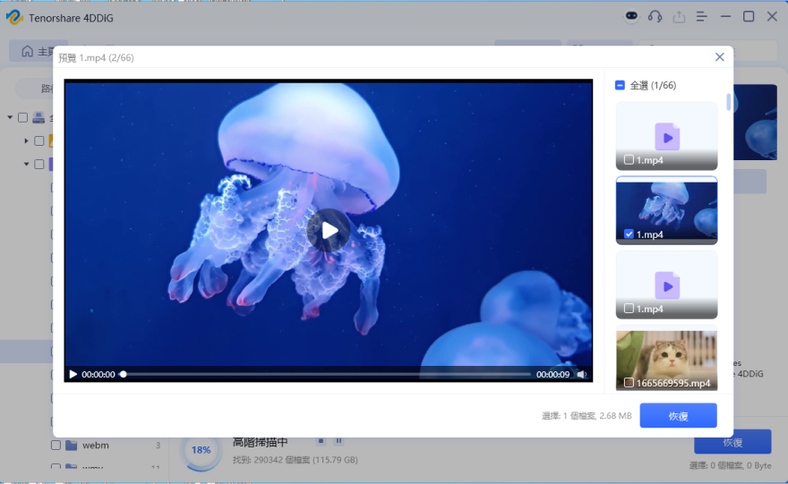 預覽並從本機磁碟中還原影片