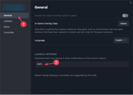 選擇「啟動選項」並鍵入「-dx11」