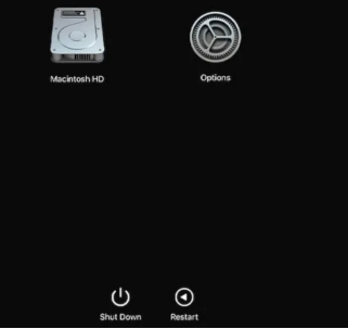 配備 Apple 晶片(M1/M2)的 Mac