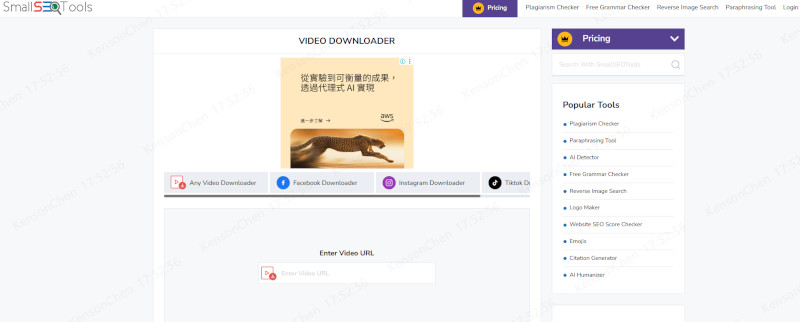 Chrome影片下載網站 smallseotools.com