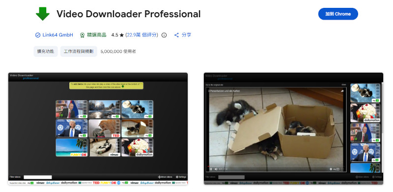 Chrome影片下載擴充功能 Video Downloader professional