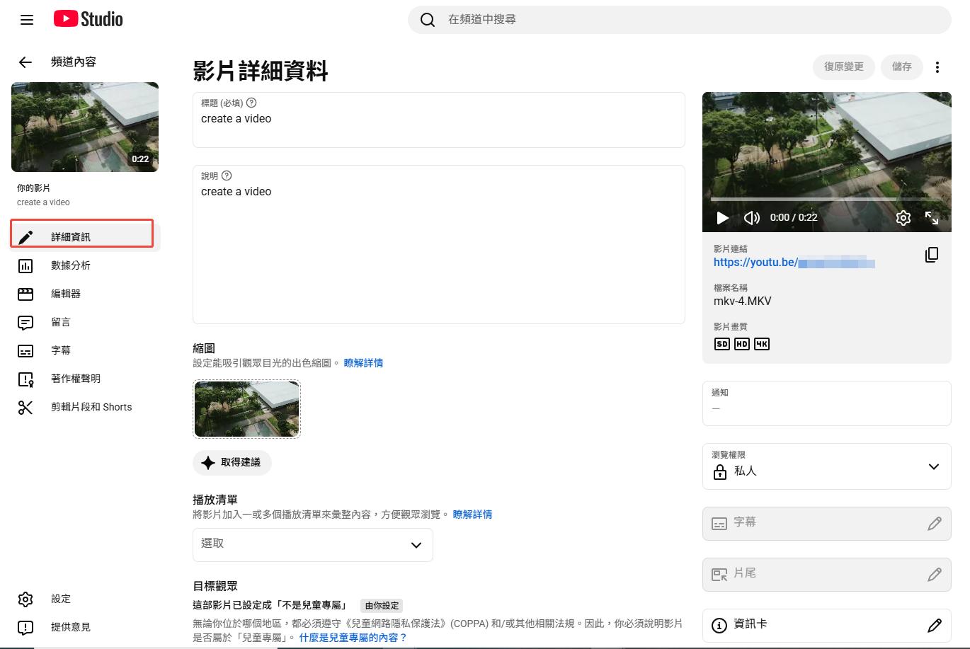 YouTube上傳影片詳細資料