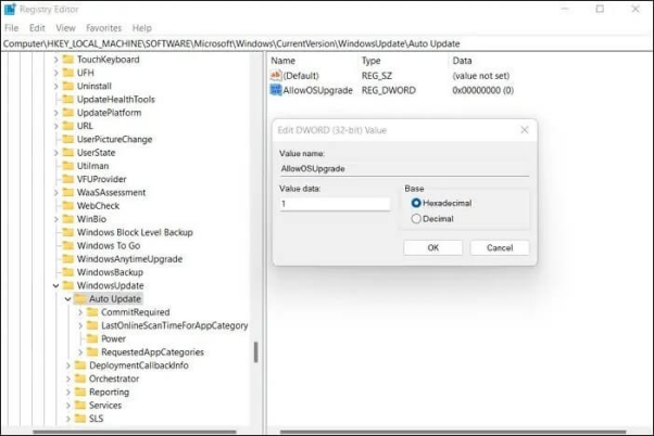 點擊兩次「AllowOSUpgrade」將“值”更改為 1