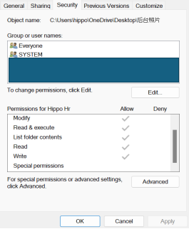 確保「完全控制」權限已啟用