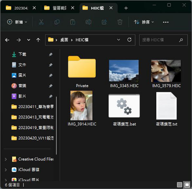 「Private」資料夾中將會儲存加密的檔案
