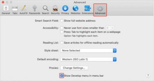 勾選「在功能表列上顯示開發功能表」